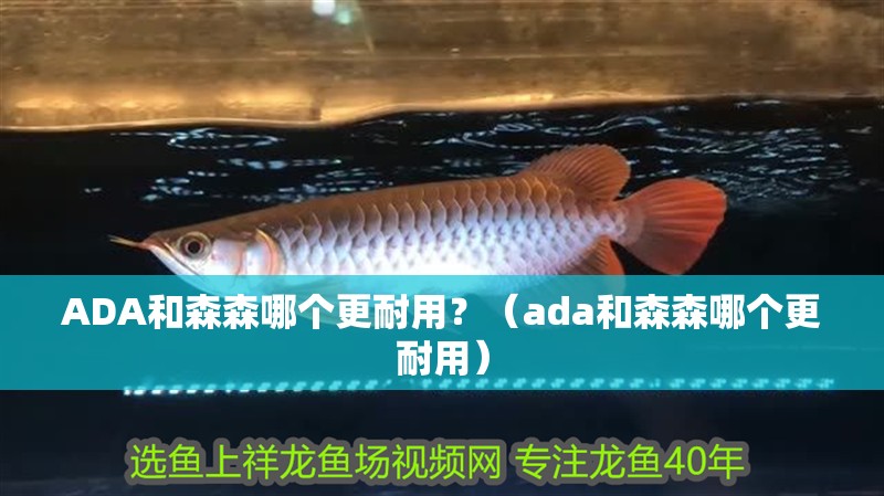 ADA和森森哪個更耐用？（ada和森森哪個更耐用）