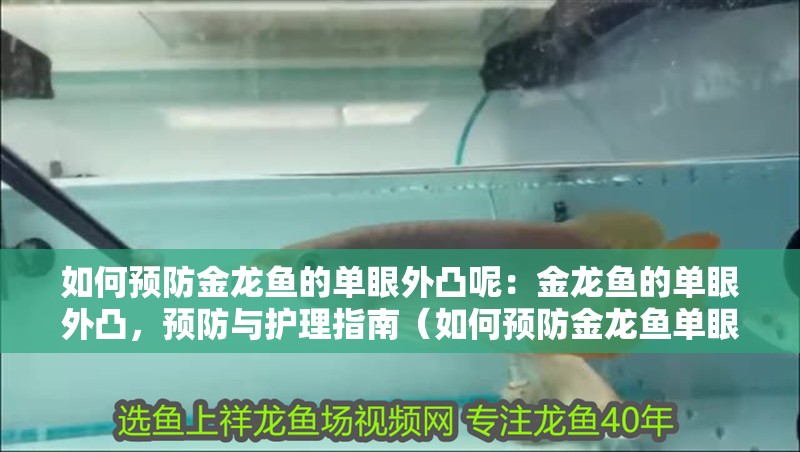 如何預防金龍魚的單眼外凸呢：金龍魚的單眼外凸，預防與護理指南（如何預防金龍魚單眼外凸）