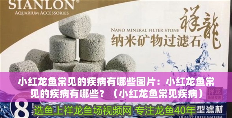 小紅龍魚常見的疾病有哪些圖片：小紅龍魚常見的疾病有哪些？（小紅龍魚常見疾病）