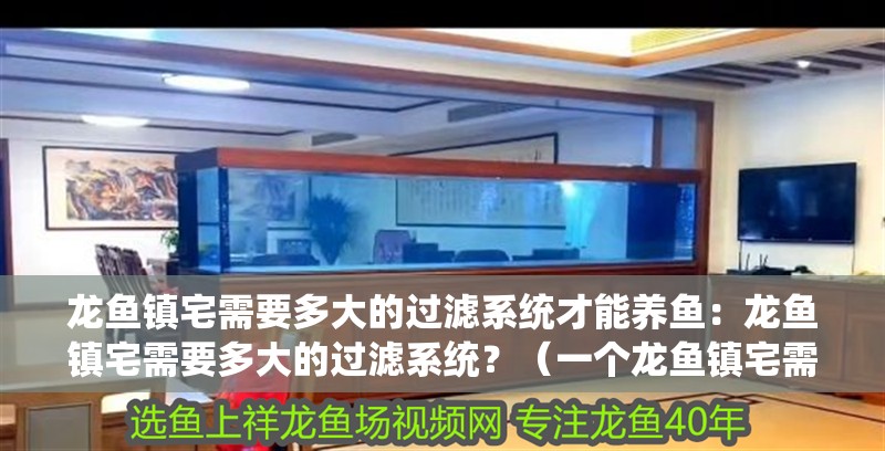 龍魚鎮(zhèn)宅需要多大的過濾系統(tǒng)才能養(yǎng)魚：龍魚鎮(zhèn)宅需要多大的過濾系統(tǒng)？（一個(gè)龍魚鎮(zhèn)宅需要多大的過濾系統(tǒng)？）