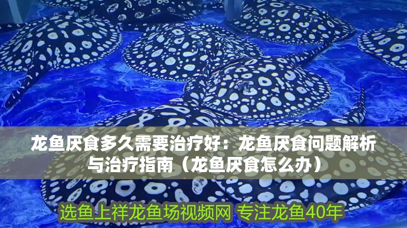 龍魚厭食多久需要治療好：龍魚厭食問題解析與治療指南（龍魚厭食怎么辦）