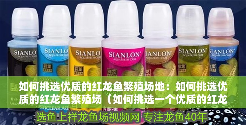 如何挑選優(yōu)質(zhì)的紅龍魚繁殖場地：如何挑選優(yōu)質(zhì)的紅龍魚繁殖場（如何挑選一個優(yōu)質(zhì)的紅龍魚繁殖場）
