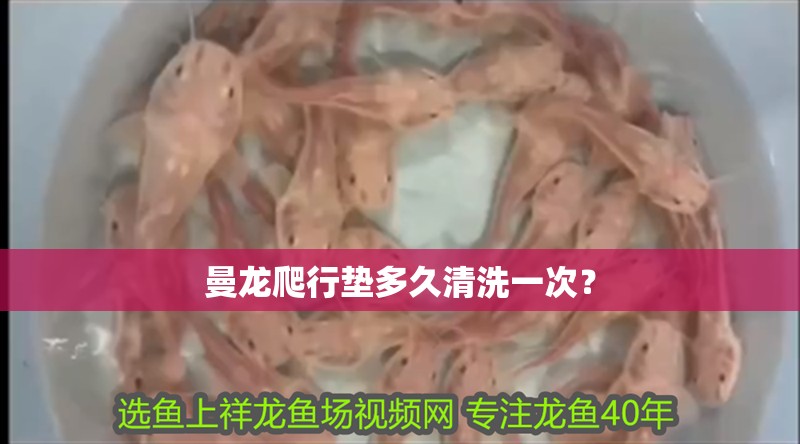 曼龍爬行墊多久清洗一次？