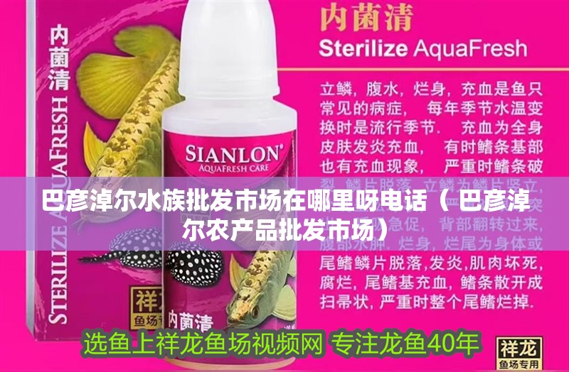 巴彥淖爾水族批發市場在哪里呀電話（ 巴彥淖爾農產品批發市場） 巴彥淖爾水族批發市場在哪里呀電話（ 巴彥淖爾農產品批發市場） 觀賞魚百科