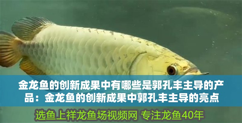 金龍魚的創新成果中有哪些是郭孔豐主導的產品：金龍魚的創新成果中郭孔豐主導的亮點