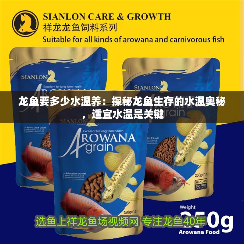 龍魚要多少水溫養：探秘龍魚生存的水溫奧秘，適宜水溫是關鍵