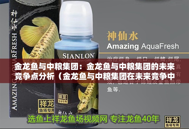 金龍魚與中糧集團：金龍魚與中糧集團的未來競爭點分析（金龍魚與中糧集團在未來競爭中展開激烈的競爭廢物回收）
