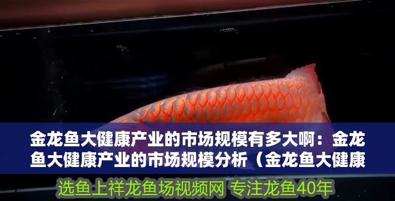 金龍魚大健康產業的市場規模有多大啊：金龍魚大健康產業的市場規模分析（金龍魚大健康產業發展趨勢分析）