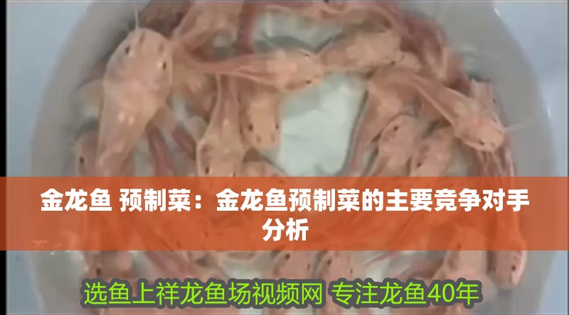 金龍魚 預制菜：金龍魚預制菜的主要競爭對手分析