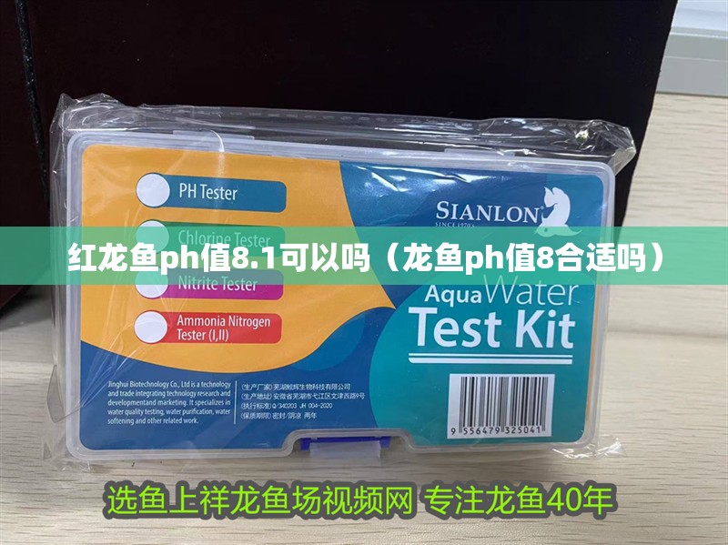 紅龍魚ph值8.1可以嗎（龍魚ph值8合適嗎）