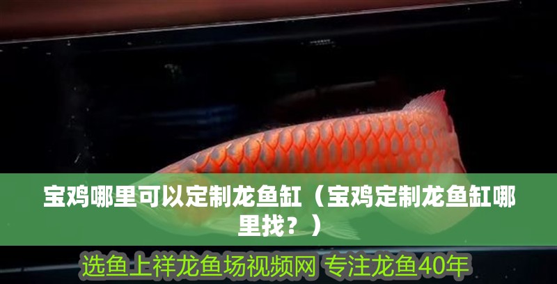 寶雞哪里可以定制龍魚缸（寶雞定制龍魚缸哪里找？）