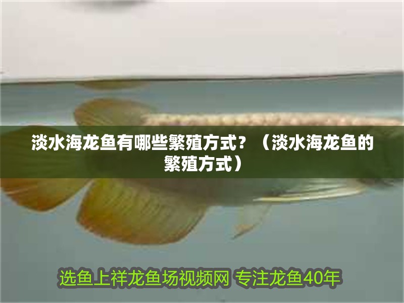 淡水海龍魚有哪些繁殖方式？（淡水海龍魚的繁殖方式）