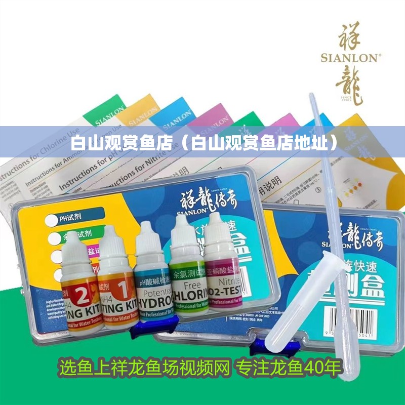 白山觀賞魚店（白山觀賞魚店地址）