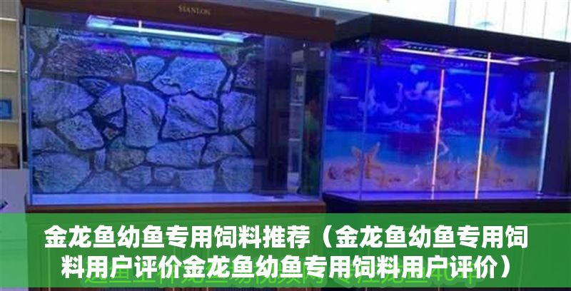 金龍魚幼魚專用飼料推薦（金龍魚幼魚專用飼料用戶評價金龍魚幼魚專用飼料用戶評價）