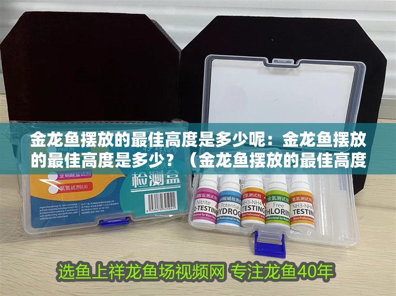 金龍魚擺放的最佳高度是多少呢：金龍魚擺放的最佳高度是多少？（金龍魚擺放的最佳高度，金龍魚擺放的最佳高度應注意什么）