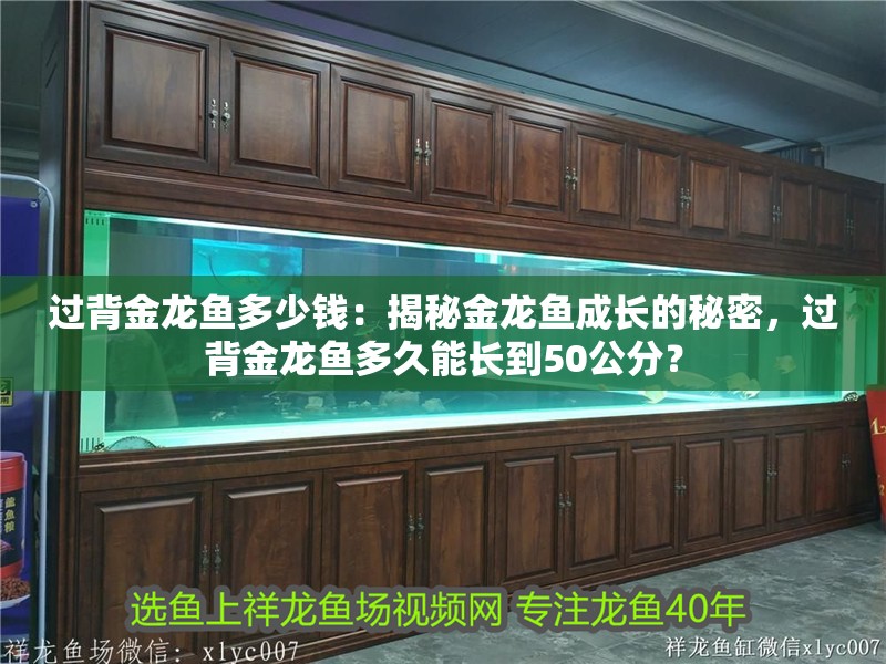 過背金龍魚多少錢：揭秘金龍魚成長的秘密，過背金龍魚多久能長到50公分？