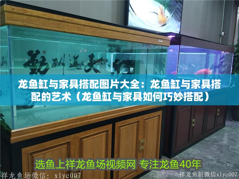 龍魚缸與家具搭配圖片大全：龍魚缸與家具搭配的藝術（龍魚缸與家具如何巧妙搭配）