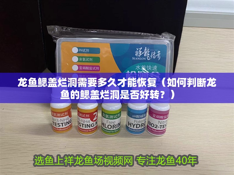 龍魚鰓蓋爛洞需要多久才能恢復（如何判斷龍魚的鰓蓋爛洞是否好轉？） 龍魚鰓蓋爛洞需要多久才能恢復（如何判斷龍魚的鰓蓋爛洞是否好轉？） 龍魚百科