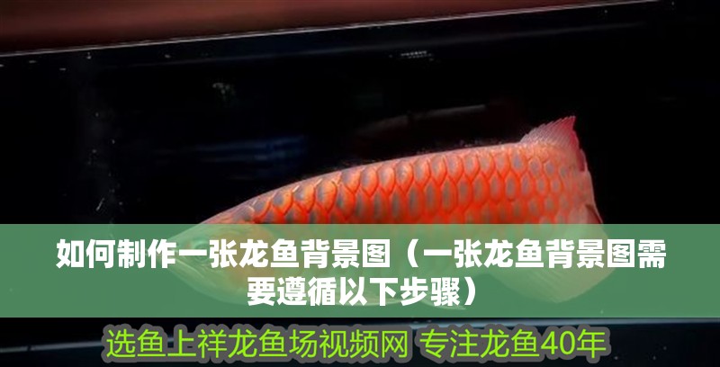 我的虎魚真菌感染了要怎么處理 如何制作一張龍魚背景圖(一張龍魚背景圖需要遵循以下步驟) 龍魚百科 如何制作一張龍魚背景圖(一張龍魚背景圖需要遵循以下步驟) 如何制作一張龍魚背景圖(一張龍魚背景圖需要遵循以下步驟) 龍魚百科