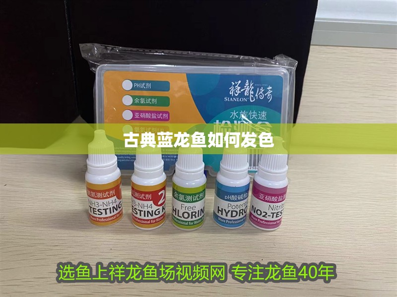 古典藍龍魚如何發色