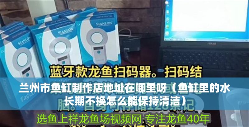 蘭州市魚缸制作店地址在哪里呀（魚缸里的水長(zhǎng)期不換怎么能保持清潔） 蘭州市魚缸制作店地址在哪里呀（魚缸里的水長(zhǎng)期不換怎么能保持清潔） 全國(guó)水族館企業(yè)名錄 第1張