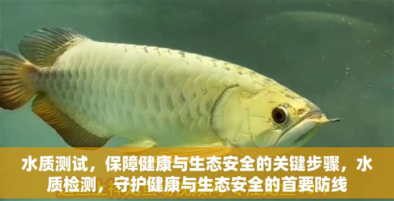 水質測試，保障健康與生態安全的關鍵步驟，水質檢測，守護健康與生態安全的首要防線