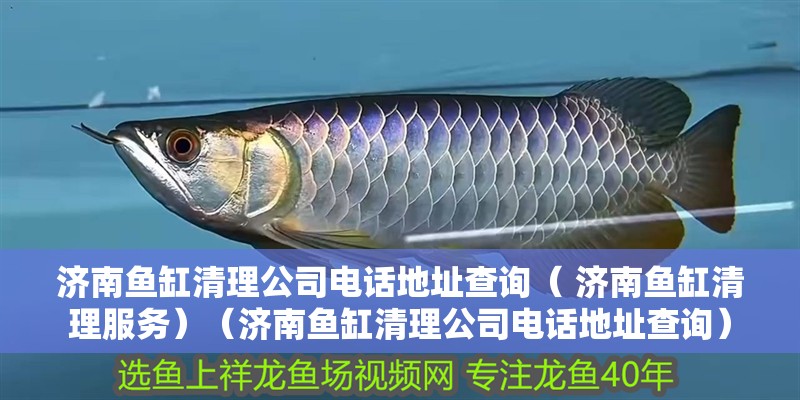 濟南魚缸清理公司電話地址查詢（ 濟南魚缸清理服務）（濟南魚缸清理公司電話地址查詢）