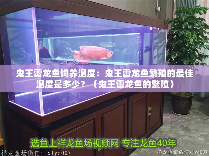 鬼王雷龍魚飼養溫度：鬼王雷龍魚繁殖的最佳溫度是多少？（鬼王雷龍魚的繁殖）