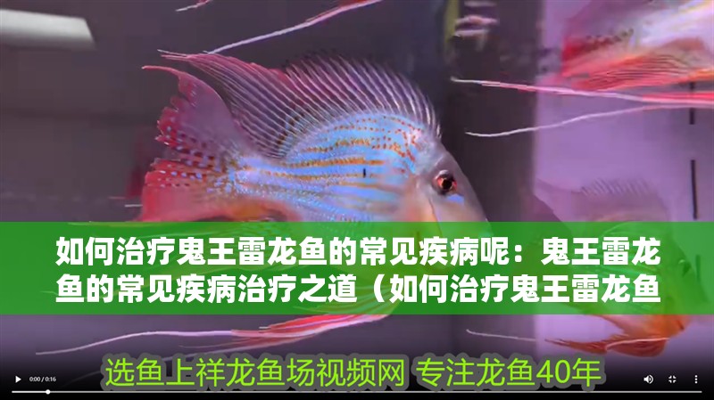 如何治療鬼王雷龍魚的常見疾病呢：鬼王雷龍魚的常見疾病治療之道（如何治療鬼王雷龍魚）