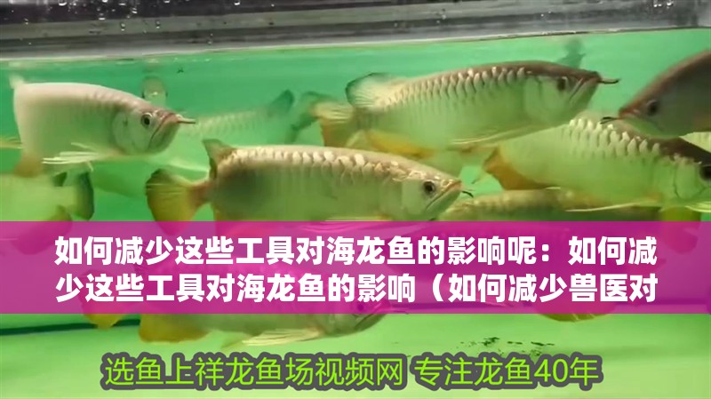 如何減少這些工具對海龍魚的影響呢：如何減少這些工具對海龍魚的影響（如何減少獸醫(yī)對海龍魚的影響）