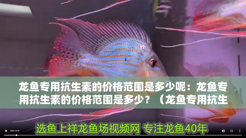 龍魚專用抗生素的價格范圍是多少呢：龍魚專用抗生素的價格范圍是多少？（龍魚專用抗生素價格）