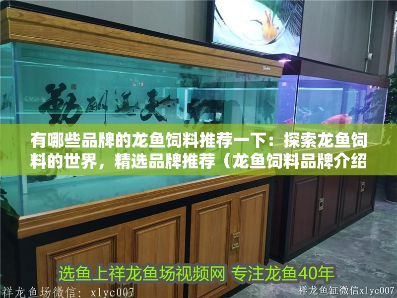 有哪些品牌的龍魚飼料推薦一下：探索龍魚飼料的世界，精選品牌推薦（龍魚飼料品牌介紹）