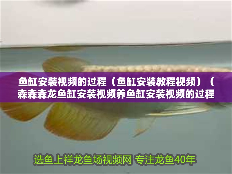 魚缸安裝視頻的過程（魚缸安裝教程視頻）（森森森龍魚缸安裝視頻養魚缸安裝視頻的過程（安裝教程））