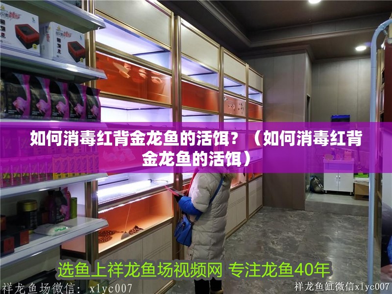 如何消毒紅背金龍魚的活餌？（如何消毒紅背金龍魚的活餌）