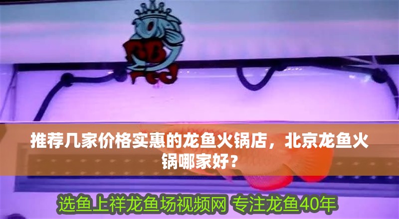 推薦幾家價格實惠的龍魚火鍋店，北京龍魚火鍋哪家好？
