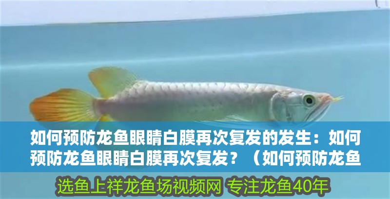 如何預防龍魚眼睛白膜再次復發的發生：如何預防龍魚眼睛白膜再次復發？（如何預防龍魚的眼睛白膜再次復發）
