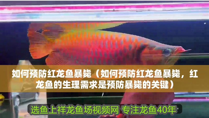 如何預防紅龍魚暴斃（如何預防紅龍魚暴斃，紅龍魚的生理需求是預防暴斃的關鍵）