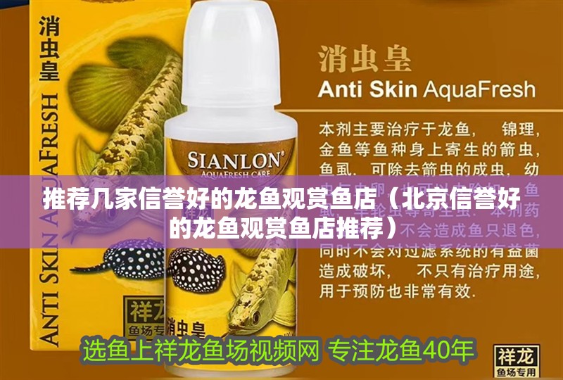 推薦幾家信譽好的龍魚觀賞魚店（北京信譽好的龍魚觀賞魚店推薦）