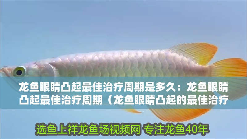 龍魚眼睛凸起最佳治療周期是多久：龍魚眼睛凸起最佳治療周期（龍魚眼睛凸起的最佳治療周期）