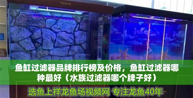 魚缸過濾器品牌排行榜及價格，魚缸過濾器哪種最好（水族過濾器哪個牌子好）