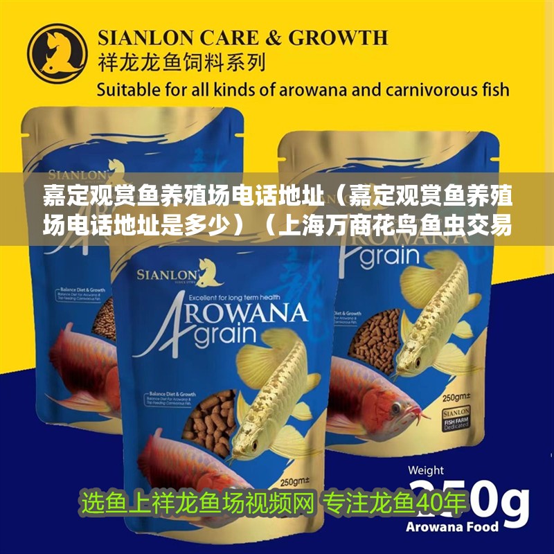 嘉定觀賞魚養殖場電話地址（嘉定觀賞魚養殖場電話地址是多少）（上海萬商花鳥魚蟲交易市場觀賞魚70%市場）