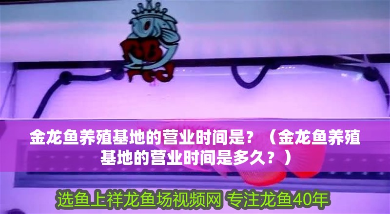 金龍魚養殖基地的營業時間是？（金龍魚養殖基地的營業時間是多久？）