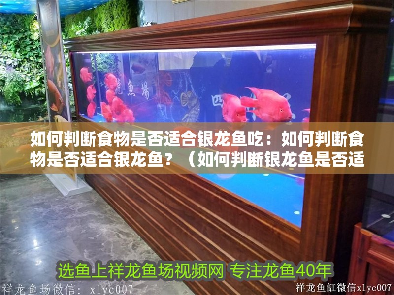 如何判斷食物是否適合銀龍魚吃：如何判斷食物是否適合銀龍魚？（如何判斷銀龍魚是否適合吃）