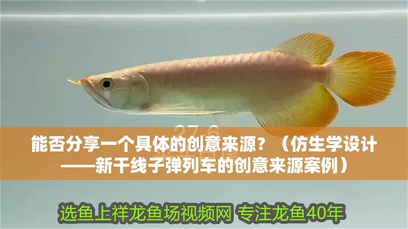 能否分享一個具體的創意來源？（仿生學設計——新干線子彈列車的創意來源案例）