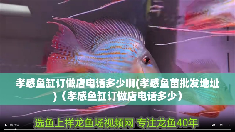孝感魚缸訂做店電話多少啊(孝感魚苗批發地址)（孝感魚缸訂做店電話多少）