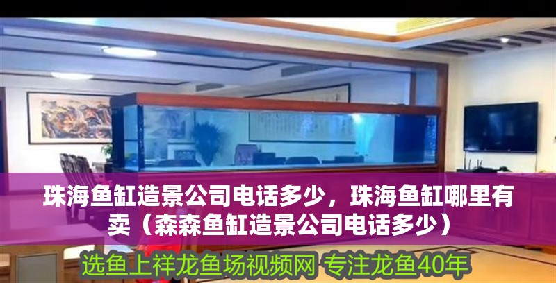 珠海魚缸造景公司電話多少，珠海魚缸哪里有賣（森森魚缸造景公司電話多少）