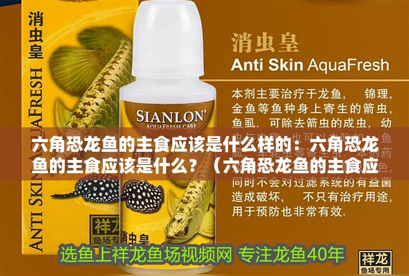 六角恐龍魚的主食應該是什么樣的：六角恐龍魚的主食應該是什么？（六角恐龍魚的主食應該是什么，）