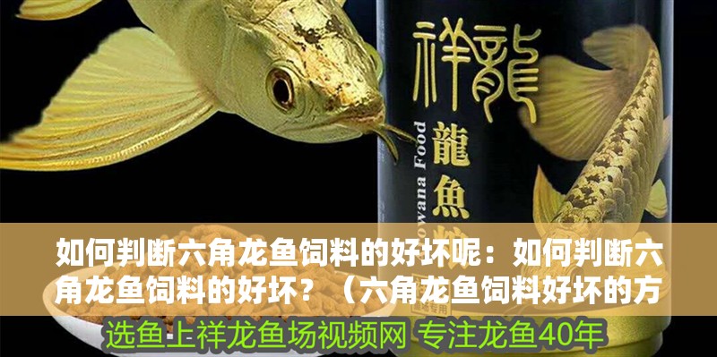 如何判斷六角龍魚飼料的好壞呢：如何判斷六角龍魚飼料的好壞？（六角龍魚飼料好壞的方法判斷六角龍魚飼料好壞的方法）