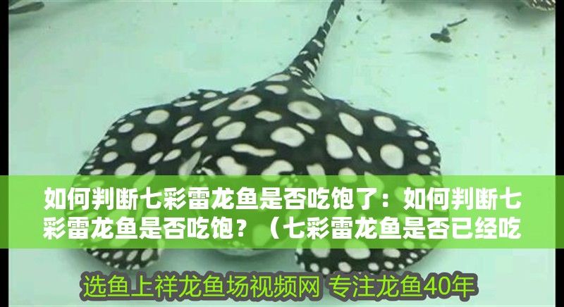 如何判斷七彩雷龍魚是否吃飽了：如何判斷七彩雷龍魚是否吃飽？（七彩雷龍魚是否已經吃飽了，）