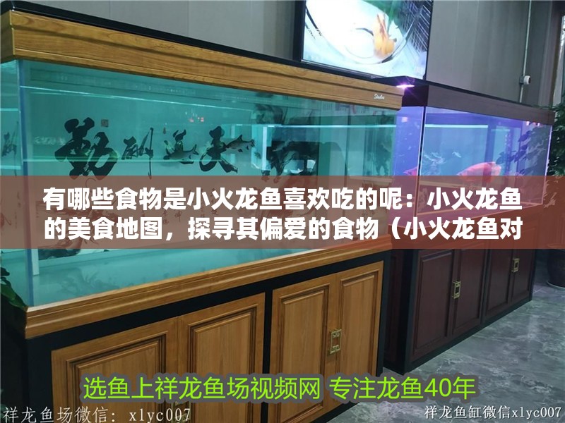 有哪些食物是小火龍魚喜歡吃的呢：小火龍魚的美食地圖，探尋其偏愛的食物（小火龍魚對養(yǎng)魚者來說至關(guān)重要）